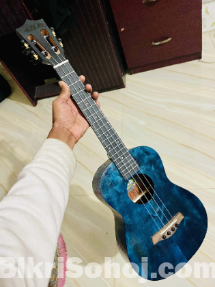 Kala brand ukulele